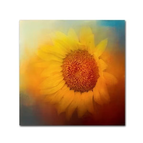 Jai Johnson 'Sunflower Surprise' Canvas Art, 14x14, Trademark Fine Art, Mfr#: ALI14295-C1414GG